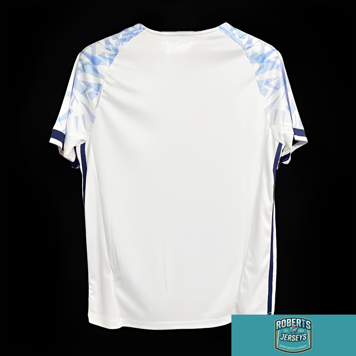 996bd4f2ae80e66eb7305c19.png.jpg